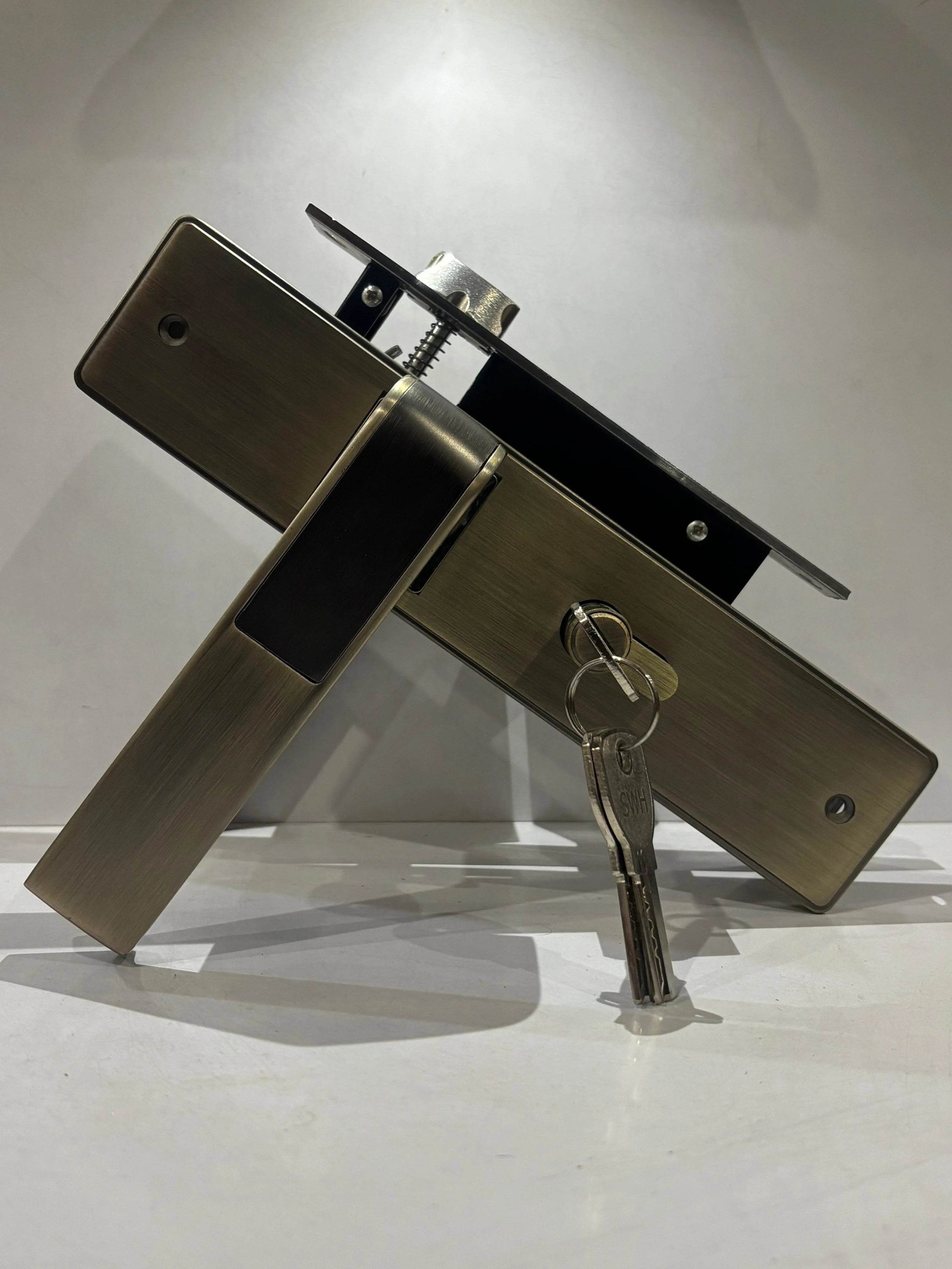 Modern Two-Tone Door Handle with Polished Brass & Gunmetal Finish - Auzaar Khana