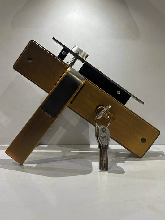 Modern Two-Tone Door Handle with Polished Brass & Gunmetal Finish - Auzaar Khana